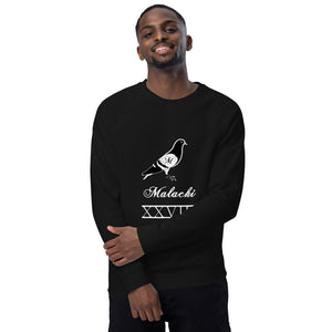 Pigeon organic raglan sweatshirt