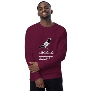 Pigeon organic raglan sweatshirt
