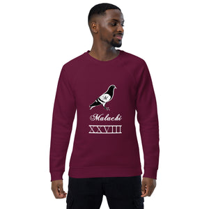 Pigeon organic raglan sweatshirt