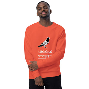 Pigeon organic raglan sweatshirt