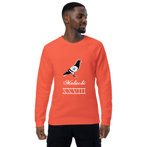 Pigeon organic raglan sweatshirt