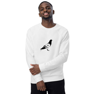 Pigeon organic raglan sweatshirt