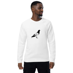 Pigeon organic raglan sweatshirt